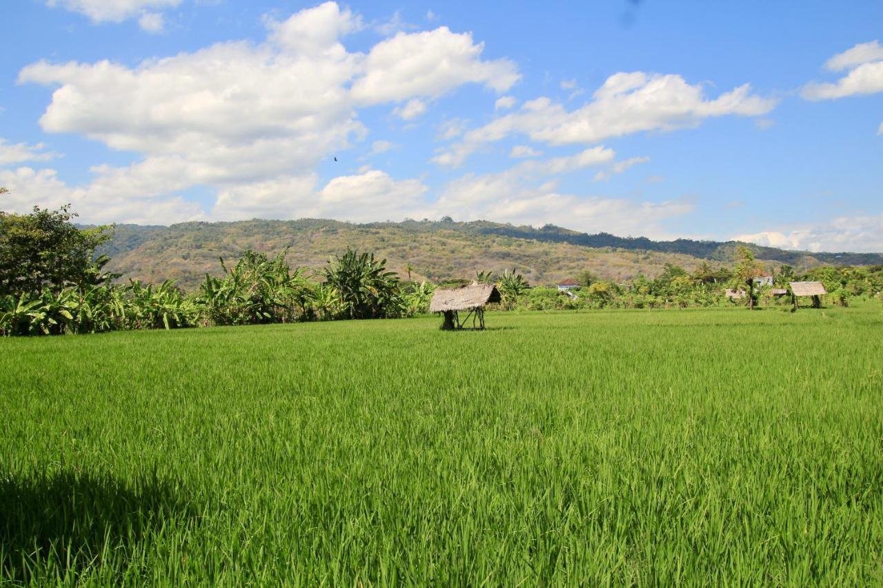 Villa Surgawi Lovina Buitenkant foto